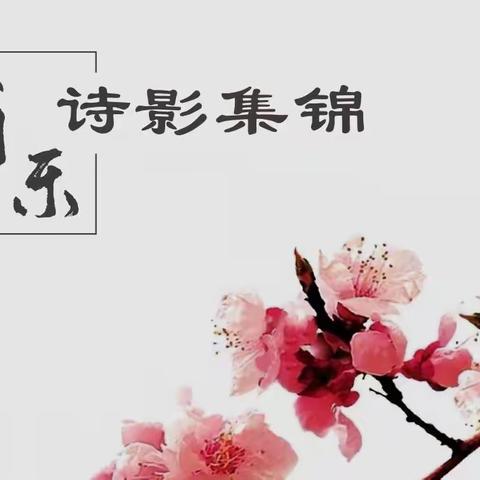 翁乐诗影集锦