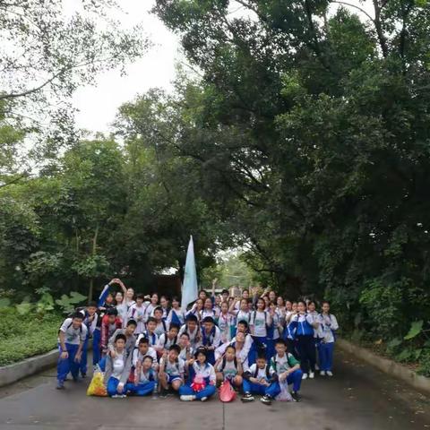 草树知春不久归，百般红紫斗芳菲---初一6班社会实践活动森林公园一日游