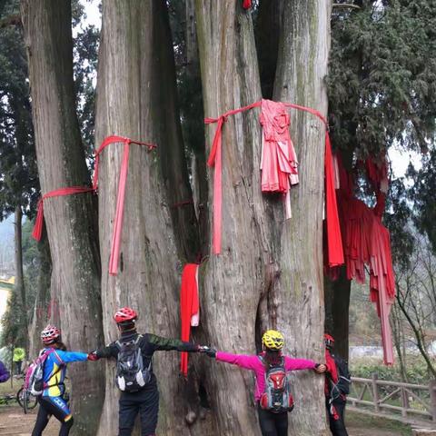骑行七贤柏 北川永安王家山
