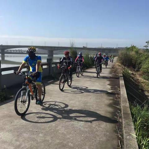 休闲骑行青莲赏🌹玫瑰