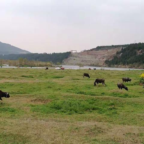 自驾 骑行至豢龙 露营 篝火