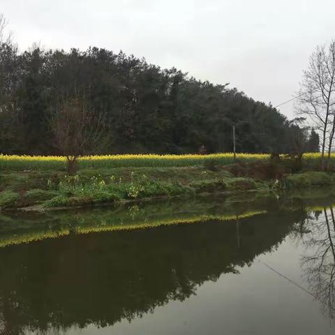 观赏江油西屏海棠基地 游玩鹰嘴岩