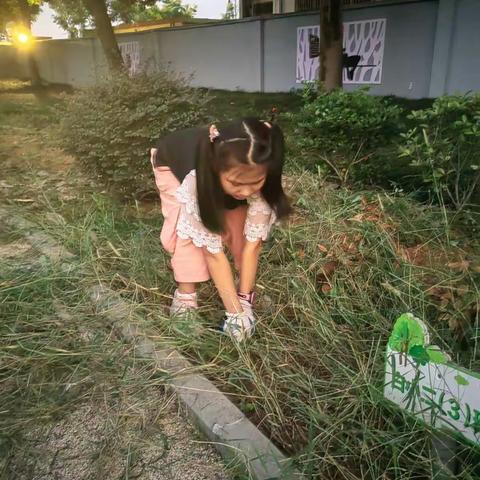 开心农场拯救记--白小二（3）班劳动园地除草行动