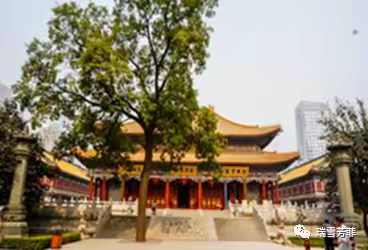 诗话西安           瑞雪芳菲  大美西安第一季人文景观（24）大兴善寺