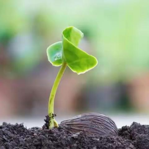 你认识自己吗？