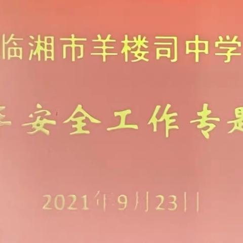 “校车平安行，护航千万家”———记临湘市羊楼司中学校车安全工作专题会