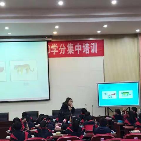 南浔实验小学 “人人一堂优质课”活动剪影（五）