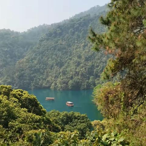 肇庆鼎湖山风景秀丽，湖水清澈见底，值得一游！