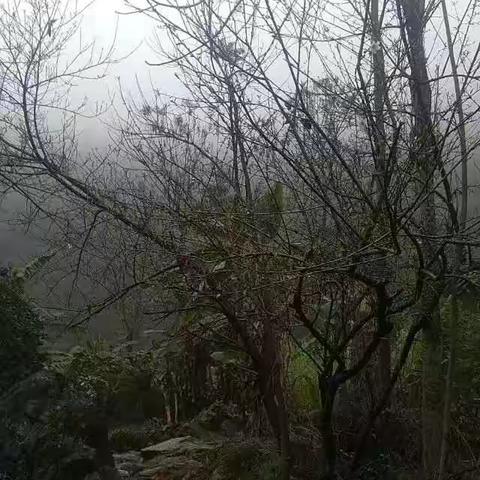 消失的龙池村，我的家……门前的路