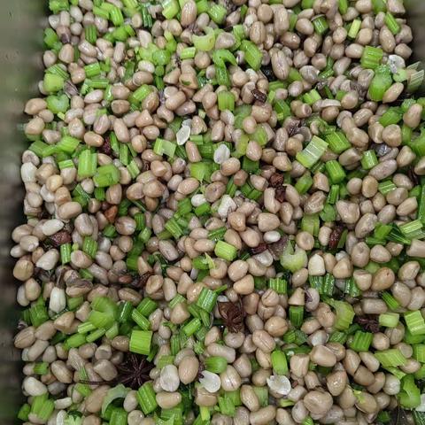 三食堂7月31日早餐