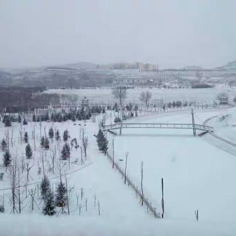 冬季到宁夏来看雪