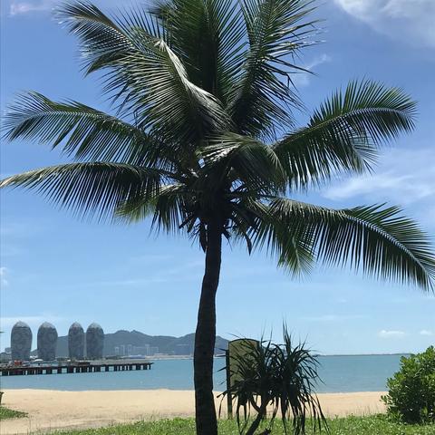 椰岛画室—快乐的写生课堂