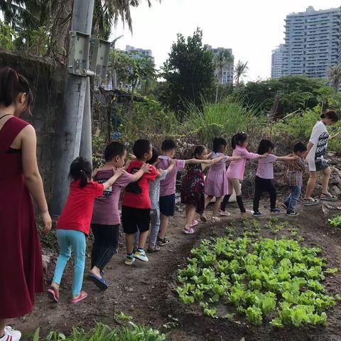 威曼少儿艺术家园到半山半岛植物园体验自然科普课堂