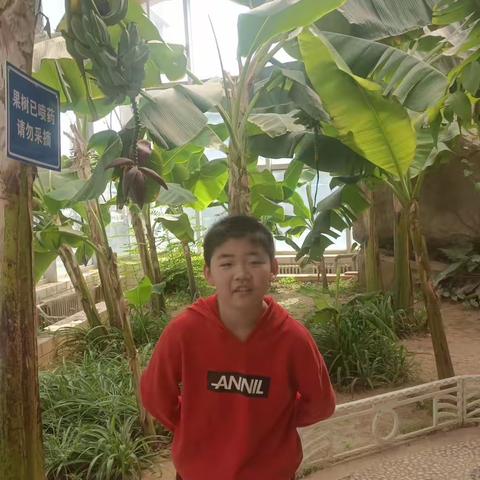 游植物园