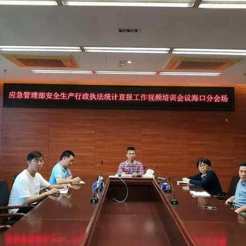 海口设分会场参加应急管理部安全生产行政执法统计直报工作视频培训会议
