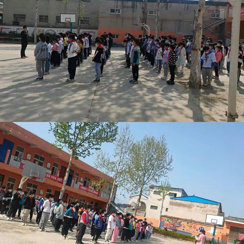 辛村镇袁太保小学《反有组织犯罪法》学习宣传活动纪实