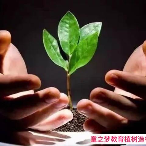 迎春植树节绿色我先行
