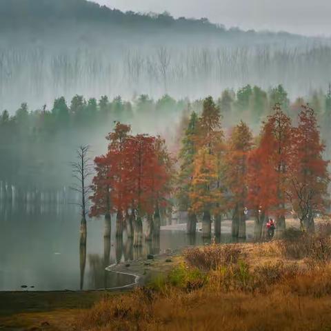 寻梦何处去 秋色满金陵