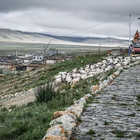 西藏阿里行（十二）