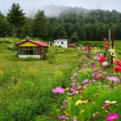 西藏阿里行（四）