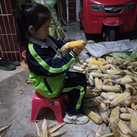 泾阳县城区第四小学二年级二班李雨韩