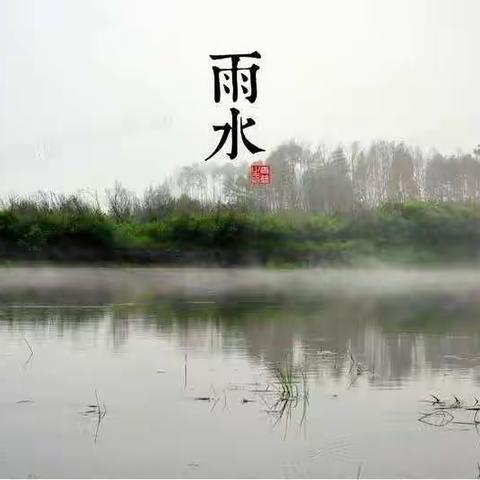 新逢雨水，春意萌发。（明天二月十九日雨水节气）