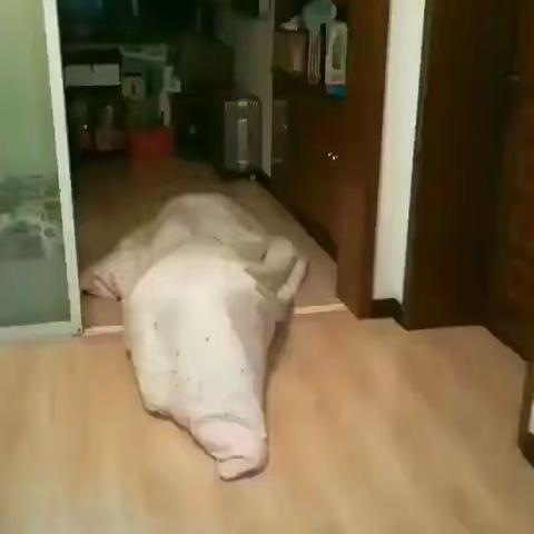 金生无悔的美篇