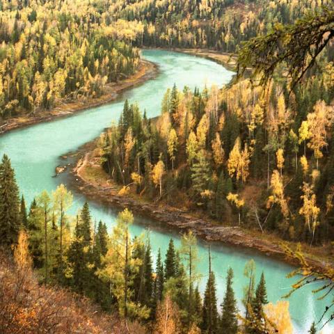 最美的还是我们新疆