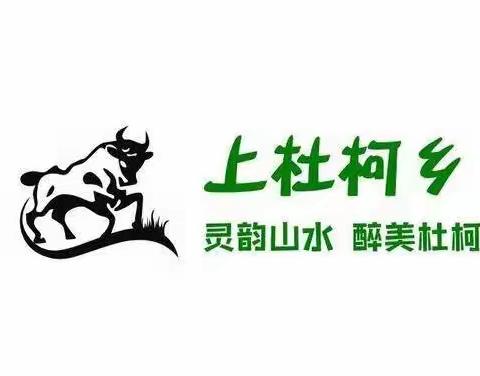 【灵韵山水 醉美杜柯】上杜柯乡一周动态