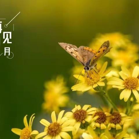 与十一月再见，与十二月相拥