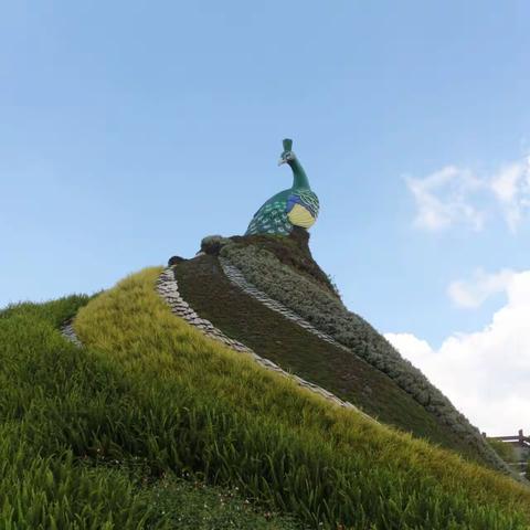 羽妹的云南之旅游记