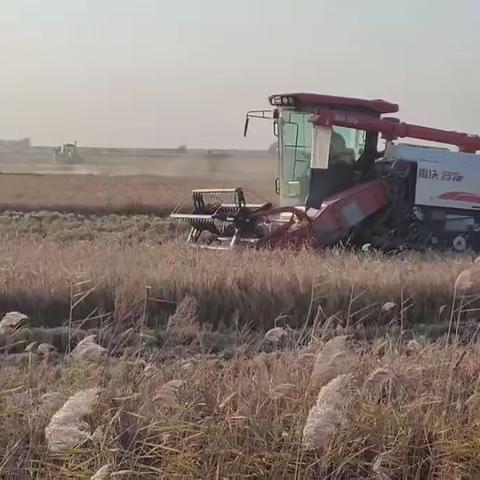 “以赛促进”开展秋季劳动技能竞赛