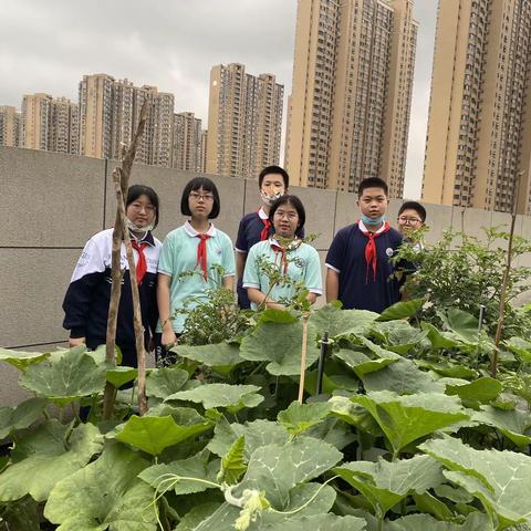 2107班五团种植活动记录（二）