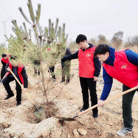 携手植树造林 共建绿色家园