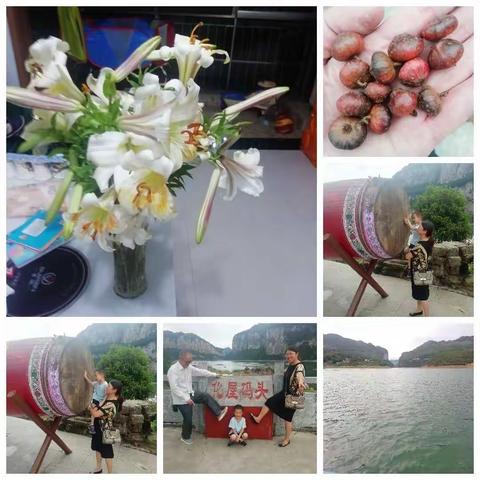 野百荷之恋