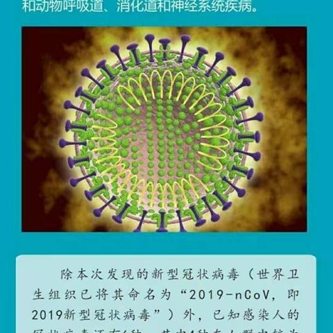 众志成城，共同战疫