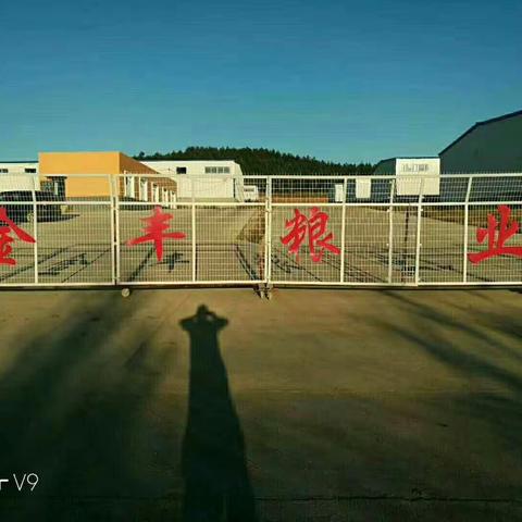 金丰粮业—合作共赢—您的最佳选择