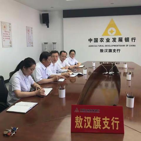 中国农业发展银行内蒙古敖汉旗支行风险排查工作有条不紊的进行