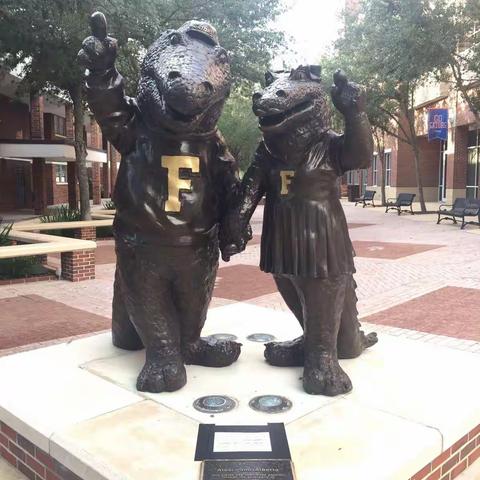 踏遍万水千山，只为识君一面