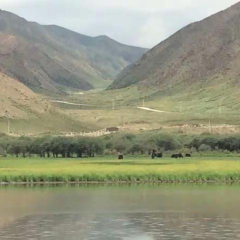 桑科大草原 最能净化人心灵的地方