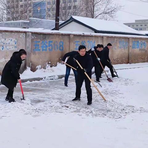 清理积雪 我们在行动---静宁县畜牧兽医中心积极开展清扫积雪志愿服务活动