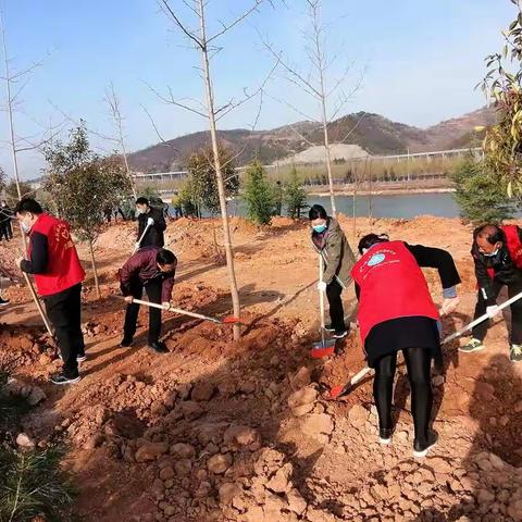 推进国土绿化 建设生态卢氏---三门峡市生态环境局卢氏分局领导班子参加义务植树活动