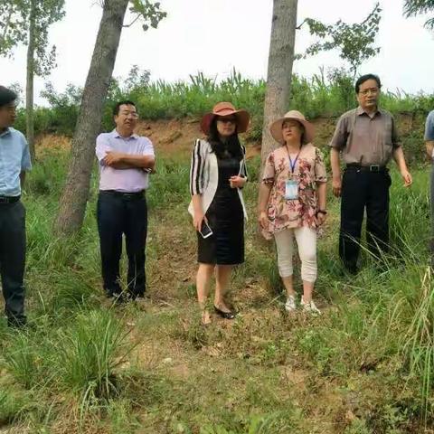 巾帼何须让须眉，敢同日月争光辉！奋勇当先勇拼搏，铿锵玫瑰别样红...记卢氏县赴宝丰、石龙区分组最美环保人...