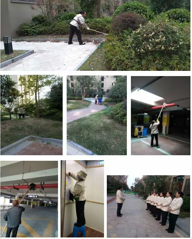 柘林佳源新都11月工作总结及12工作计划