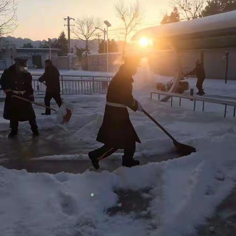 方便群众 守护安全 殡仪馆职工院内扫雪