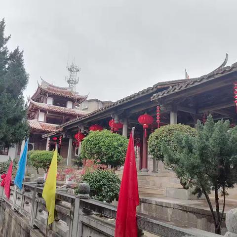 梅峰寺看梅花