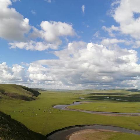 呼伦贝尔，我们来啦！