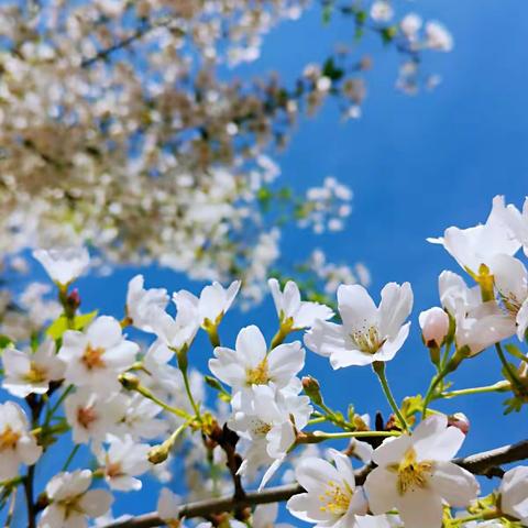 太原师爱中学心理减压拓展营活动纪实