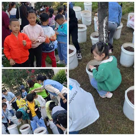 江南小学一年级（5）班的种植——萝卜篇