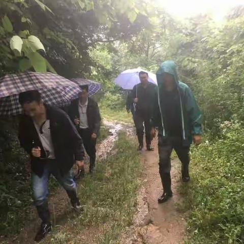 周至排查组冒雨继续进行排查